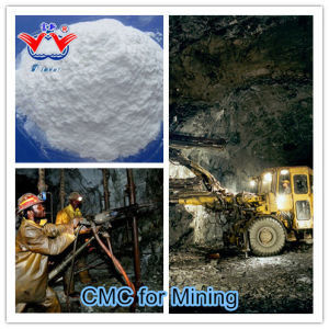 الصوديوم القابل للذوبان كاربوكسيميثيل السليلوز CMC النفط الحفر الصف مضاد الملح